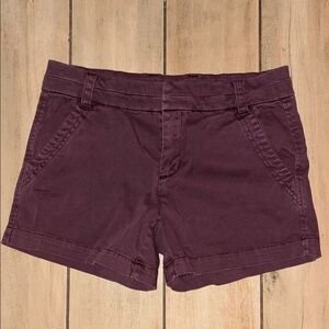 Tinsel Women's Dark Purple Cargo Shorts